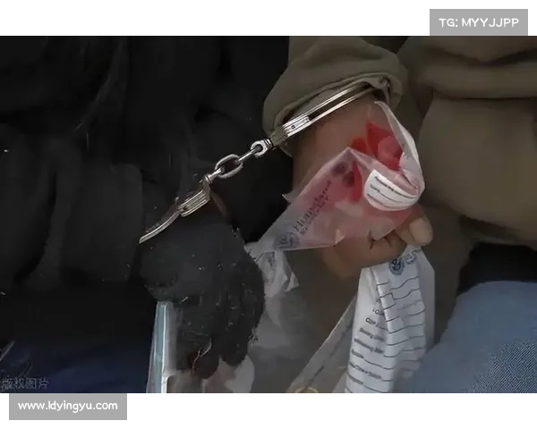 王强因宅基地纠纷宣称绝食抗议，背后是保钓运动的历史影像(王强怎么消失了)