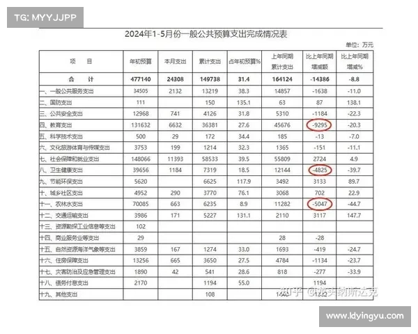 财政收入骤降,某县级市如何应对大幅削减教育与医疗投入的挑战 财政收入骤降,某县级市如何应对大幅削减教育与医疗投入的挑战