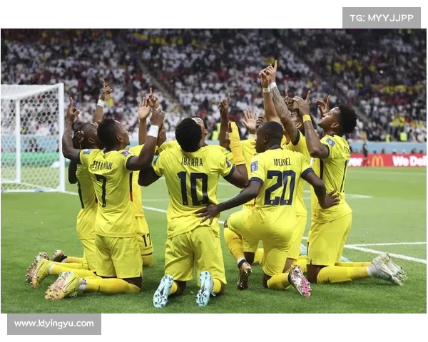 国际足联俱乐部世界杯桑托斯拉古纳举办球迷活动